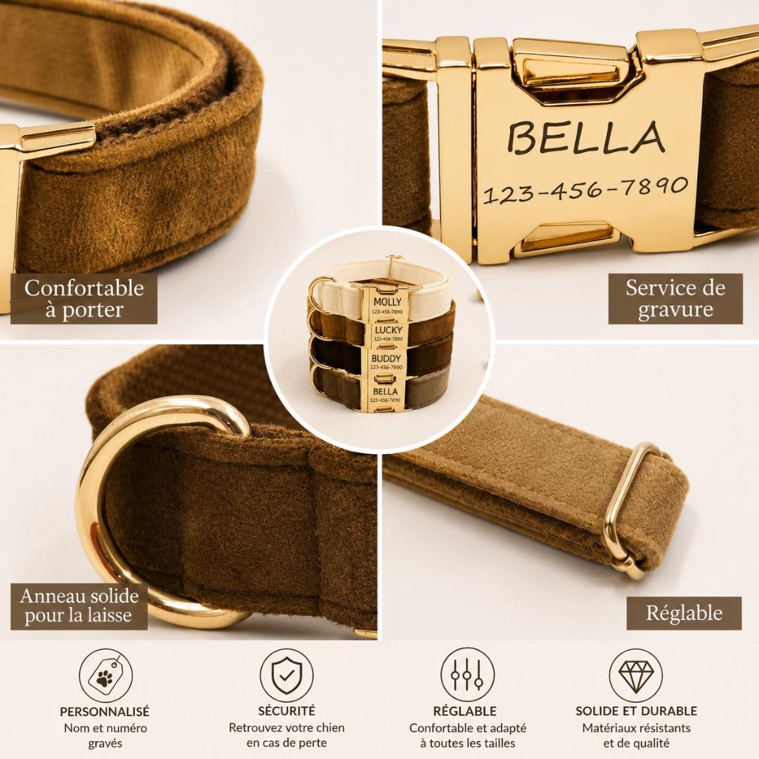 Collier personnalisable pour chien – Fermeture rapide | Toutes saisons