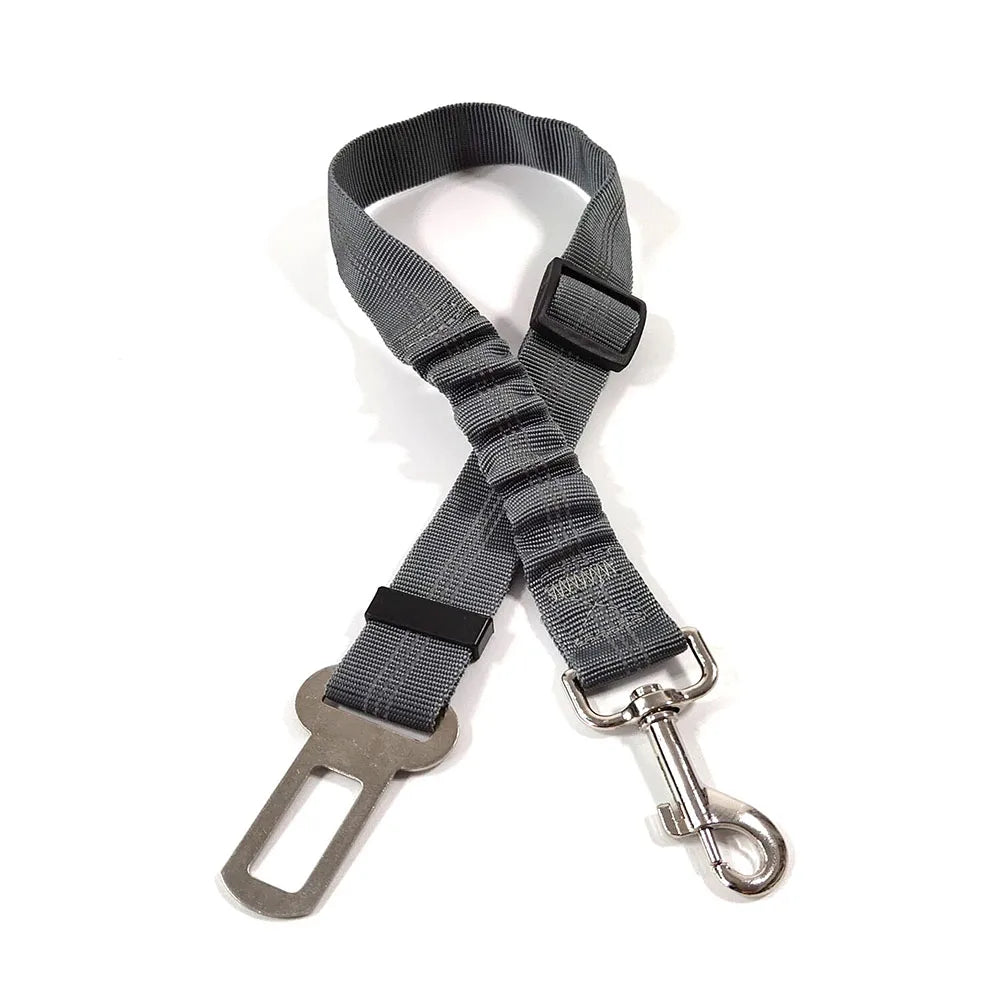 Ceinture de sécurité réglable et résistante  pour chien