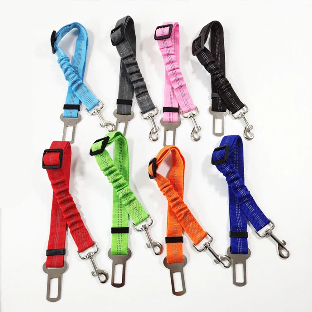 Ceinture de sécurité réglable et résistante  pour chien