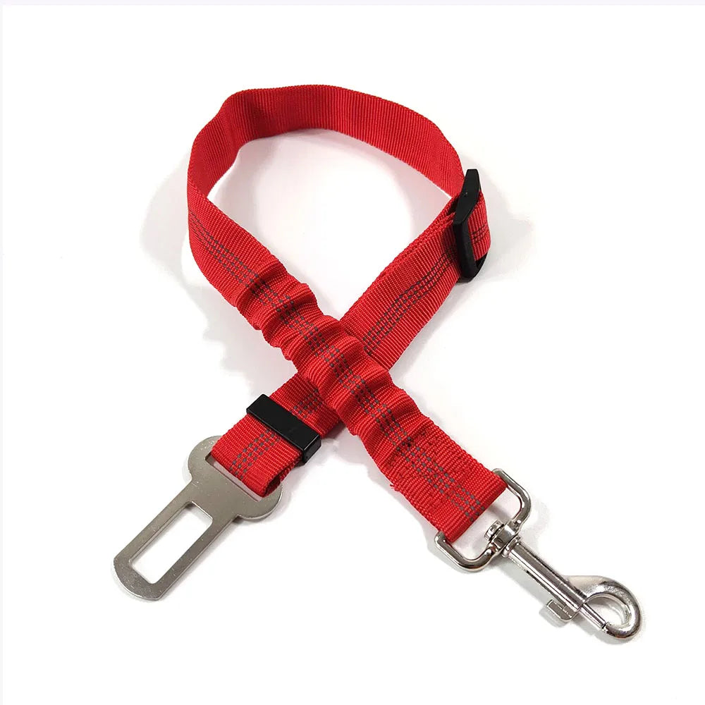 Ceinture de sécurité réglable et résistante  pour chien
