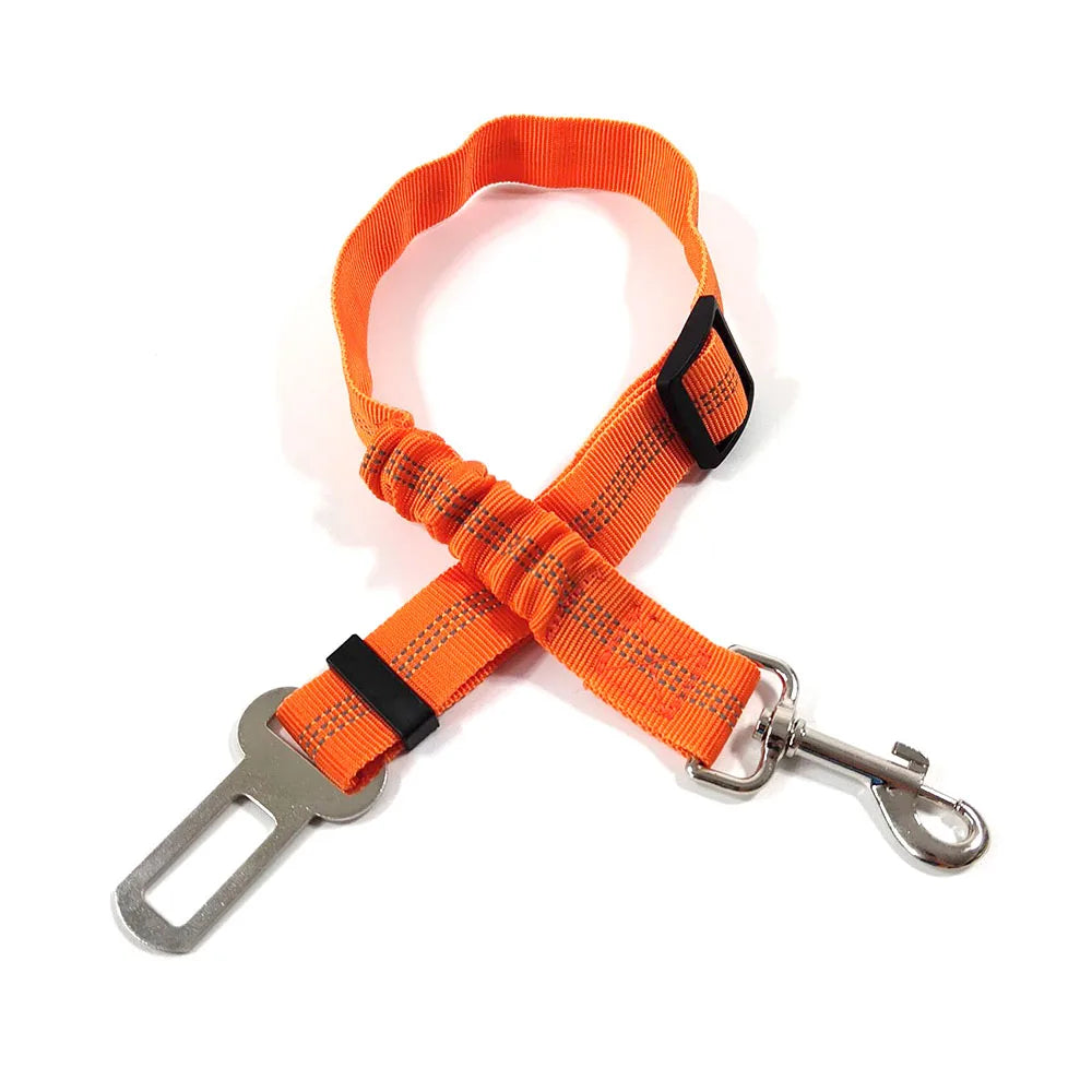 Ceinture de sécurité réglable et résistante  pour chien