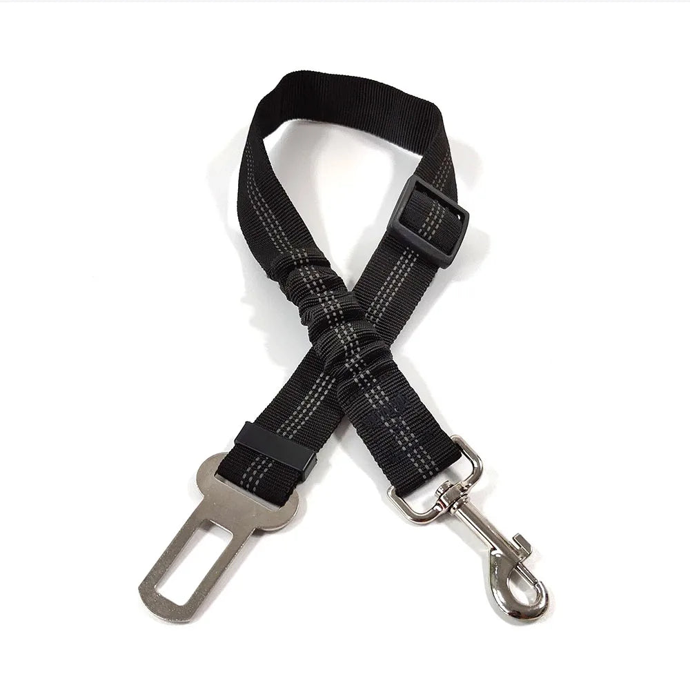 Ceinture de sécurité réglable et résistante  pour chien