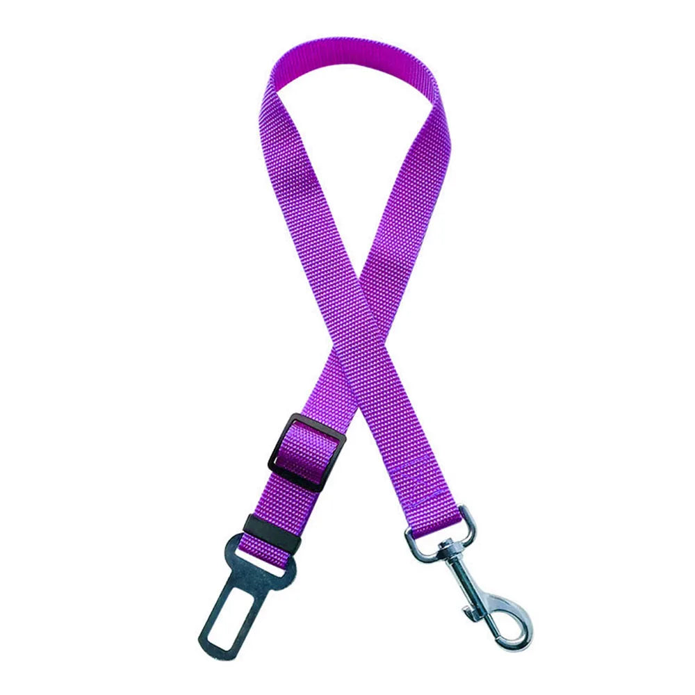 Ceinture de sécurité réglable et résistante  pour chien