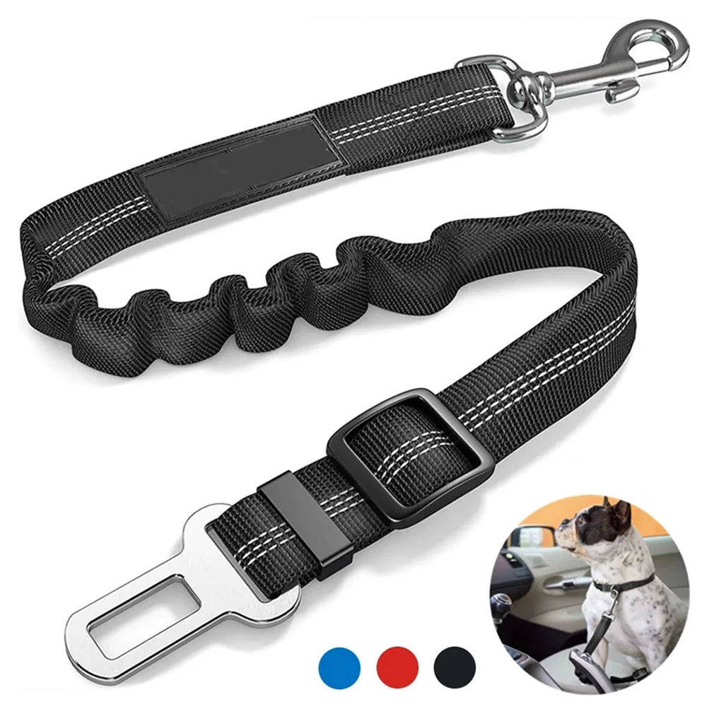 Ceinture de sécurité réglable et résistante  pour chien