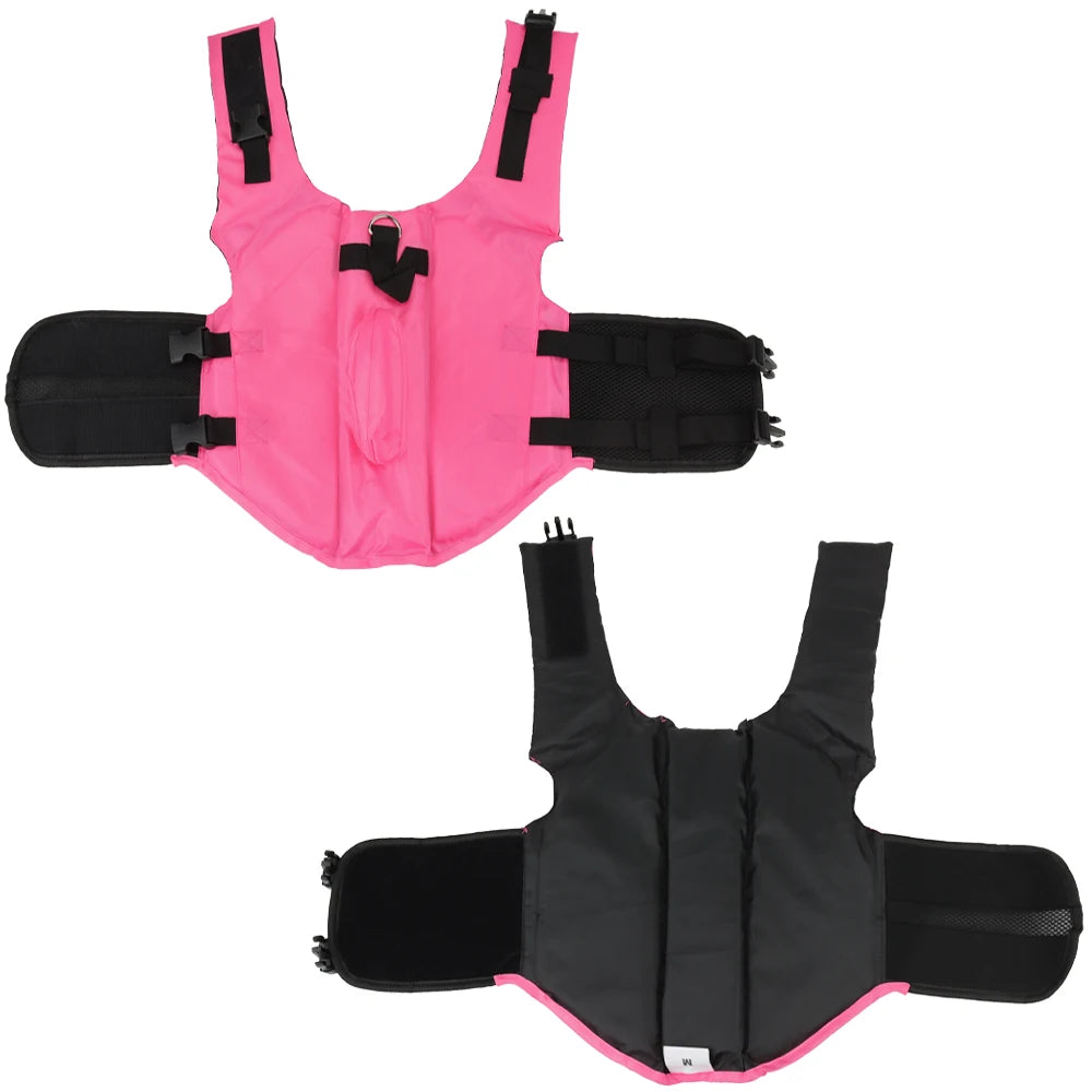 Veste de Plage & Piscine pour Chien Aquatique