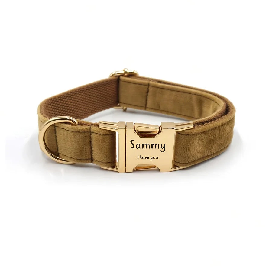 Collier personnalisable pour chien – Fermeture rapide | Toutes saisons