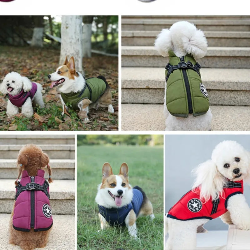 Manteau Imperméable pour Chien