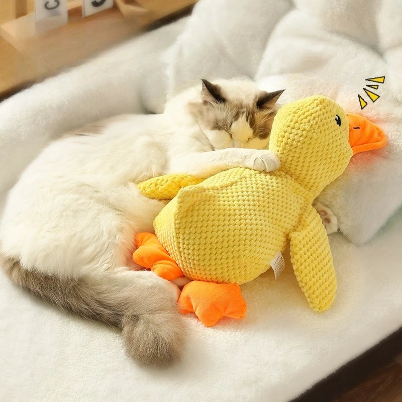 Jouet Canard Couinant en Peluche pour Chien