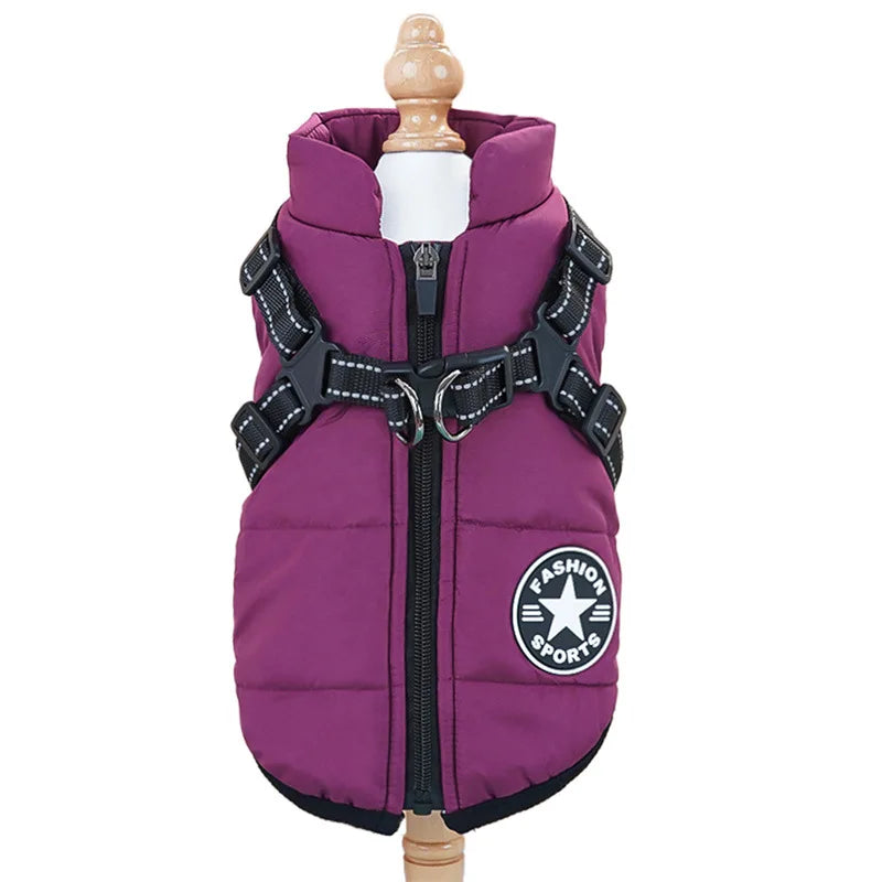 Manteau Imperméable pour Chien