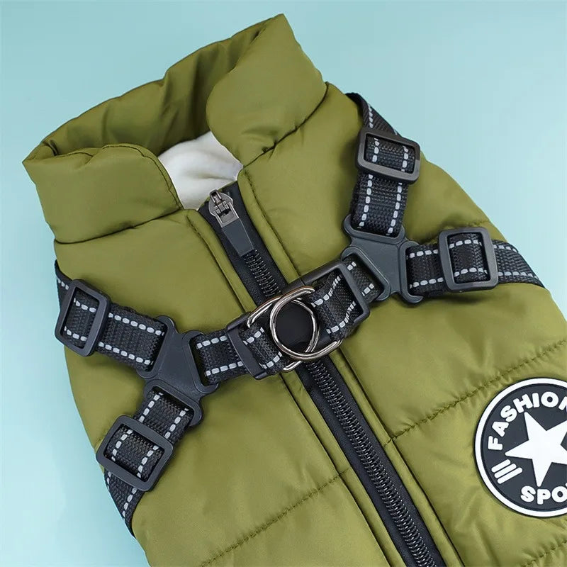 Manteau Imperméable pour Chien