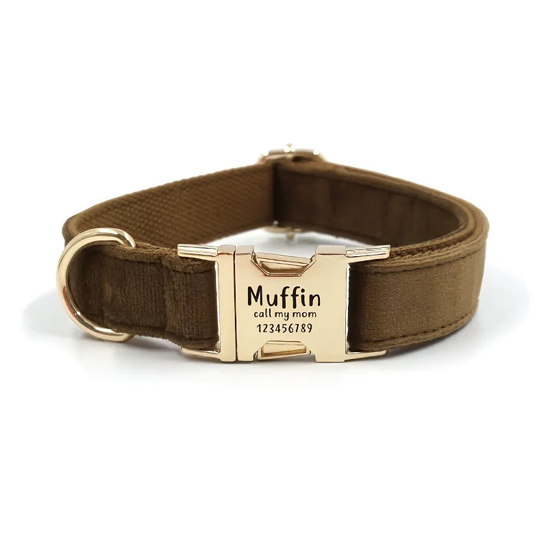 Collier personnalisable pour chien – Fermeture rapide | Toutes saisons