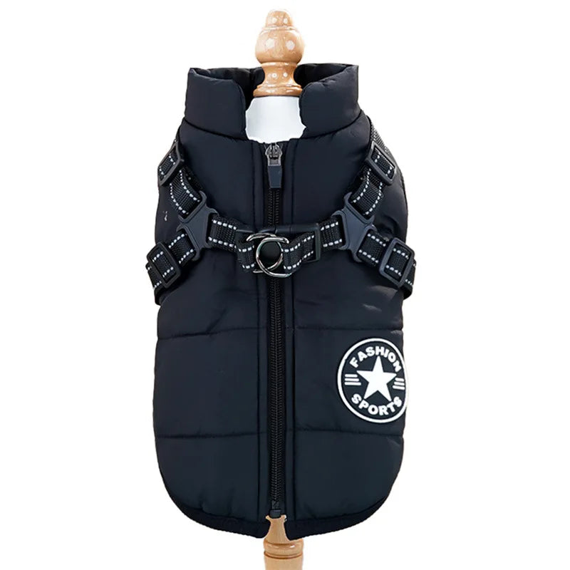 Manteau Imperméable pour Chien