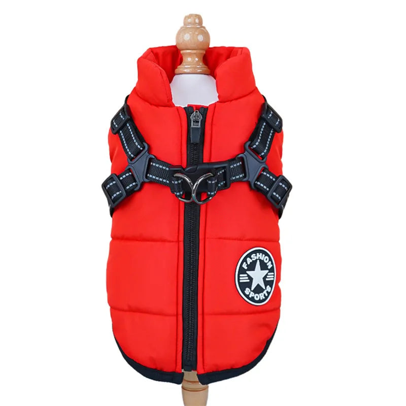 Manteau Imperméable pour Chien