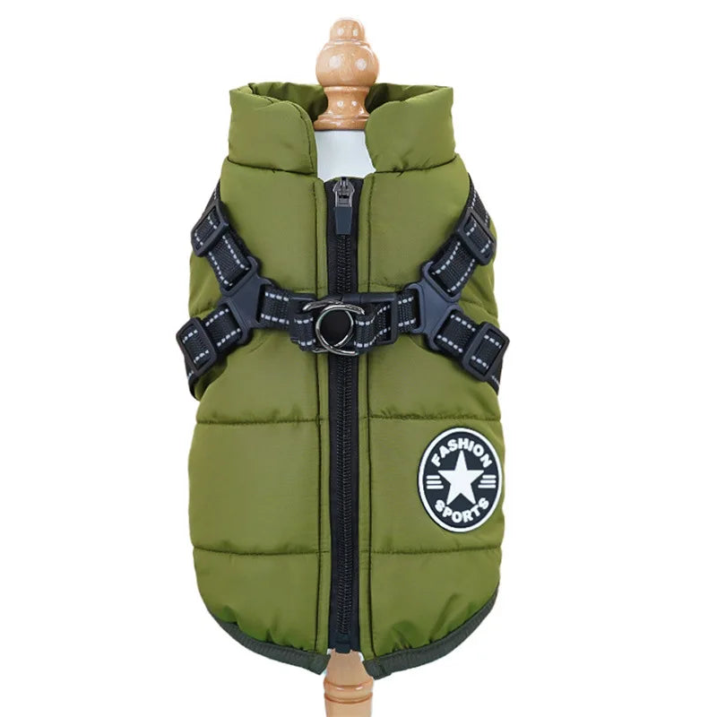 Manteau Imperméable pour Chien
