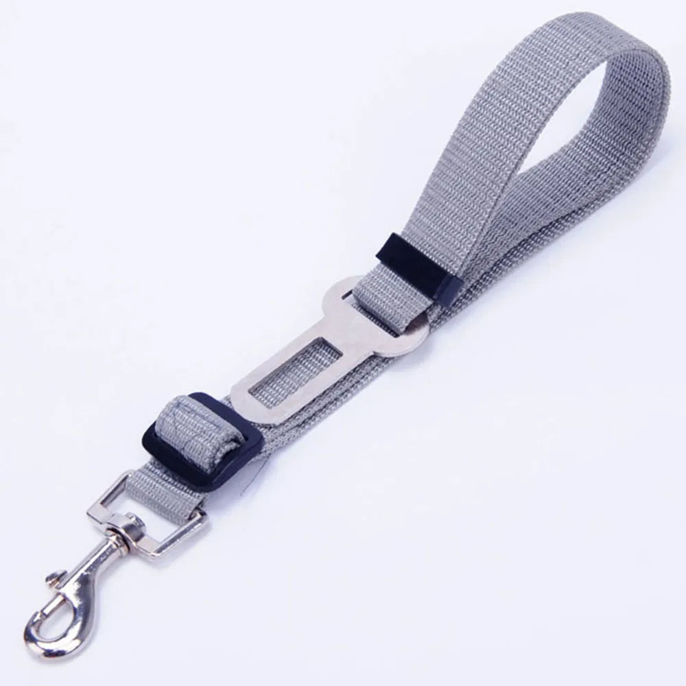 Ceinture de sécurité réglable et résistante  pour chien