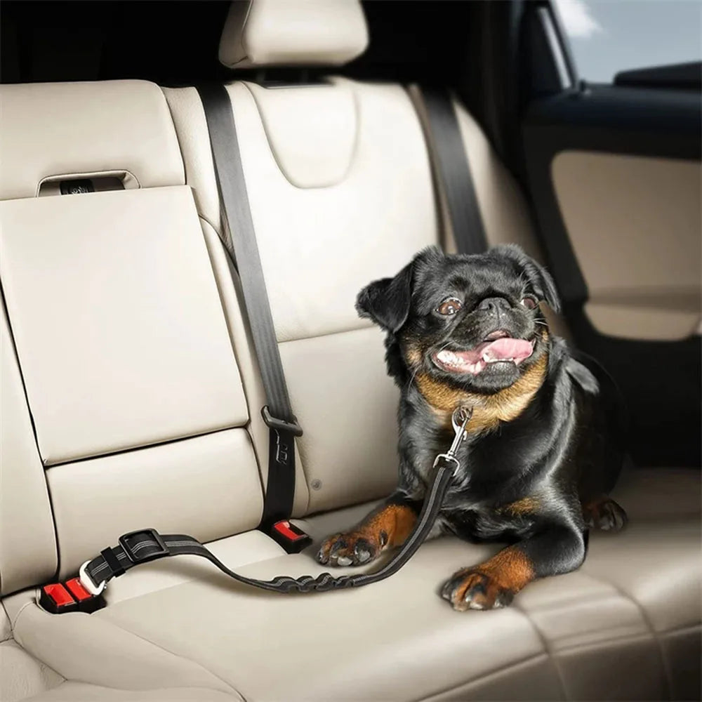 Ceinture de sécurité réglable et résistante  pour chien