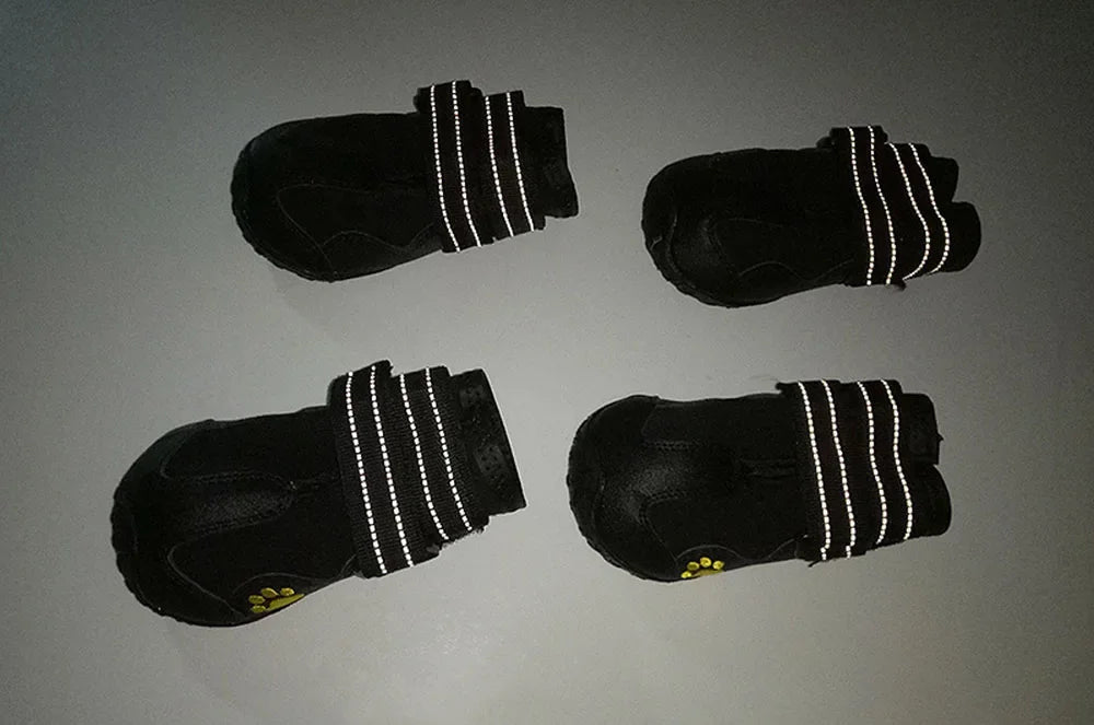 Chaussures Imperméables pour Chien – Semelles Antidérapantes & Réfléchissantes (4 pcs)
