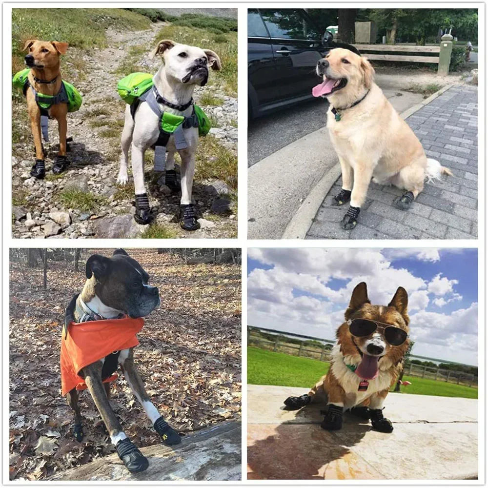 Chaussures Imperméables pour Chien – Semelles Antidérapantes & Réfléchissantes (4 pcs)