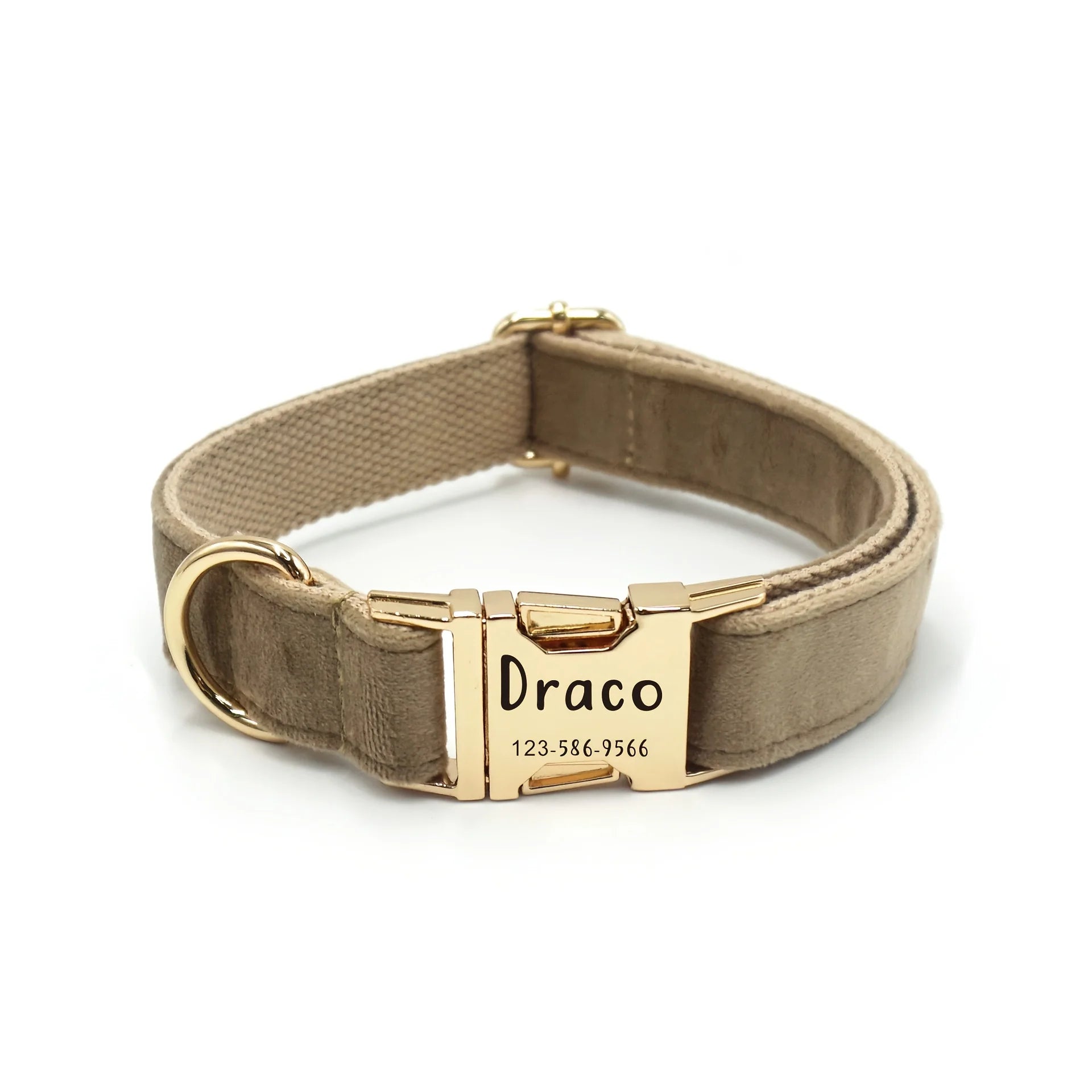 Collier personnalisable pour chien – Fermeture rapide | Toutes saisons