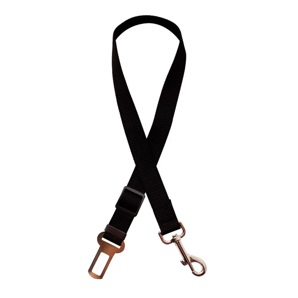 Ceinture de sécurité réglable et résistante  pour chien