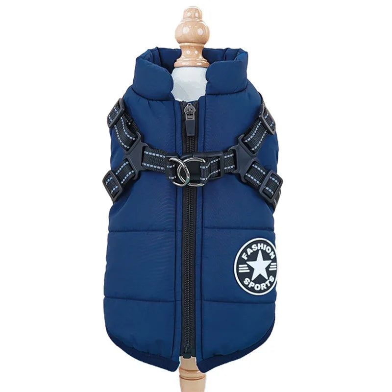 Manteau Imperméable pour Chien