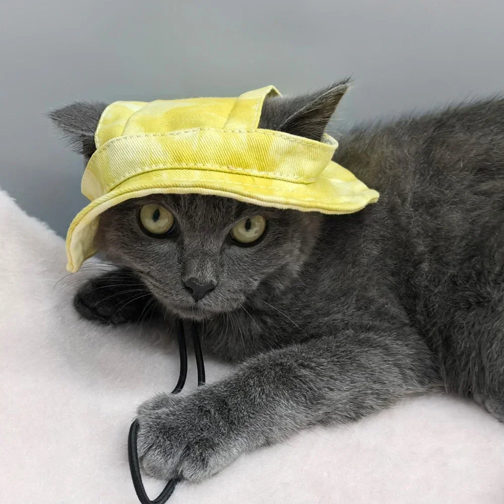 Casquette d'été pour chien – réglable | Protection UV