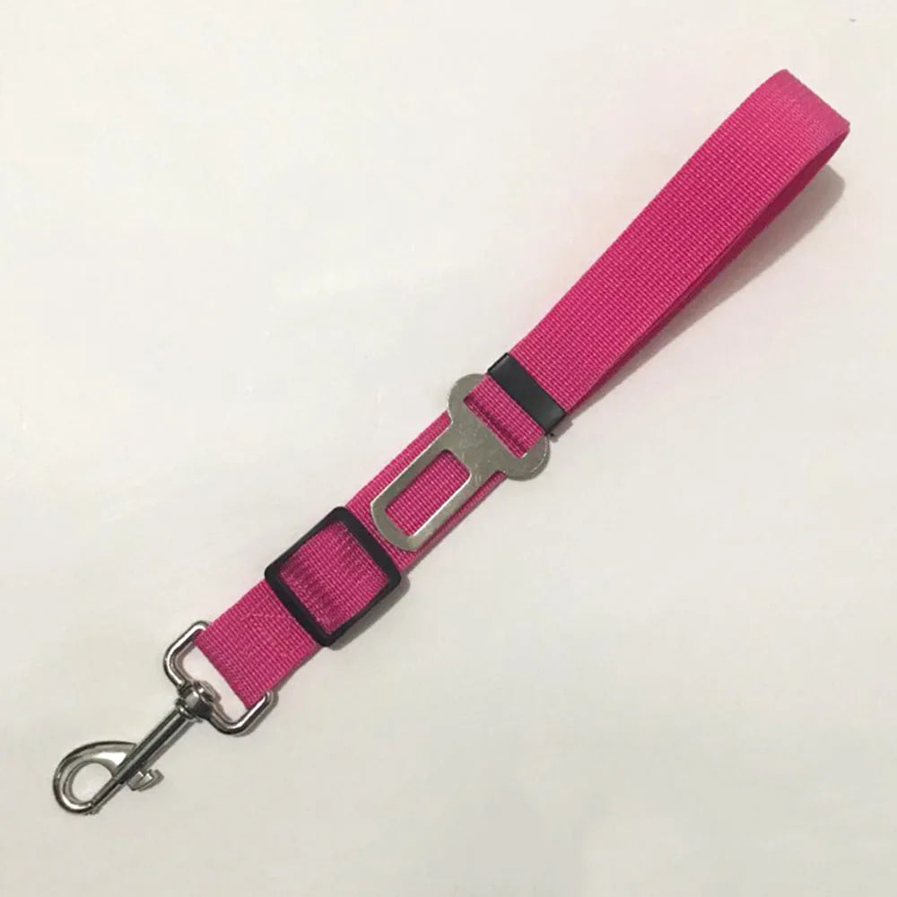 Ceinture de sécurité réglable et résistante  pour chien