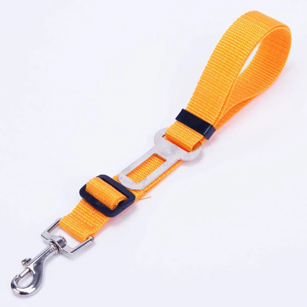 Ceinture de sécurité réglable et résistante  pour chien