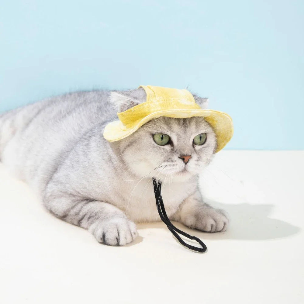 Casquette d'été pour chien – réglable | Protection UV