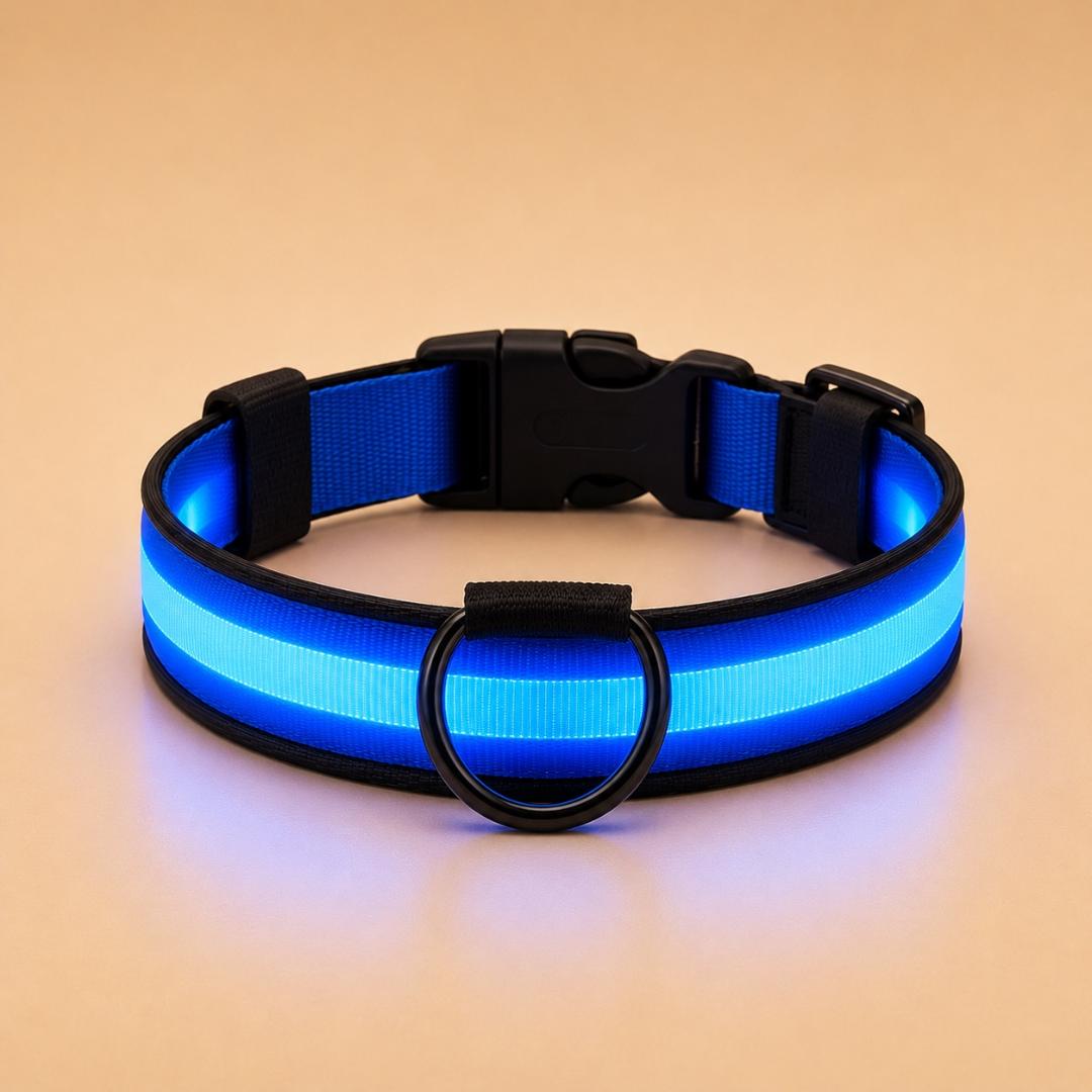 Collier LED Réfléchissant pour Chien — Sécurité Nocturne*