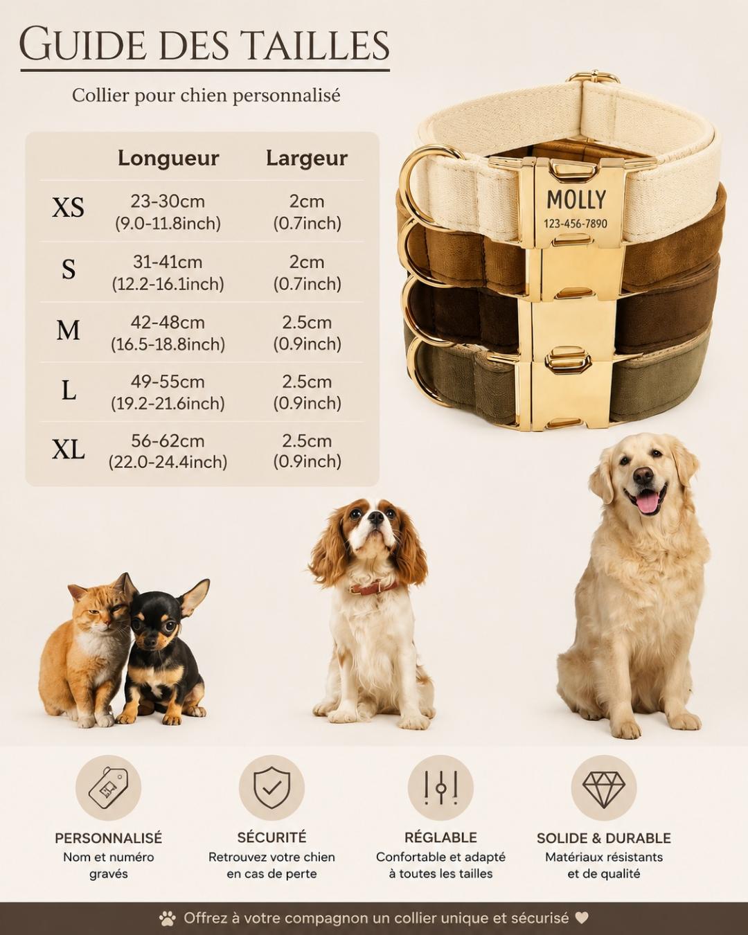Collier personnalisable pour chien – Fermeture rapide | Toutes saisons