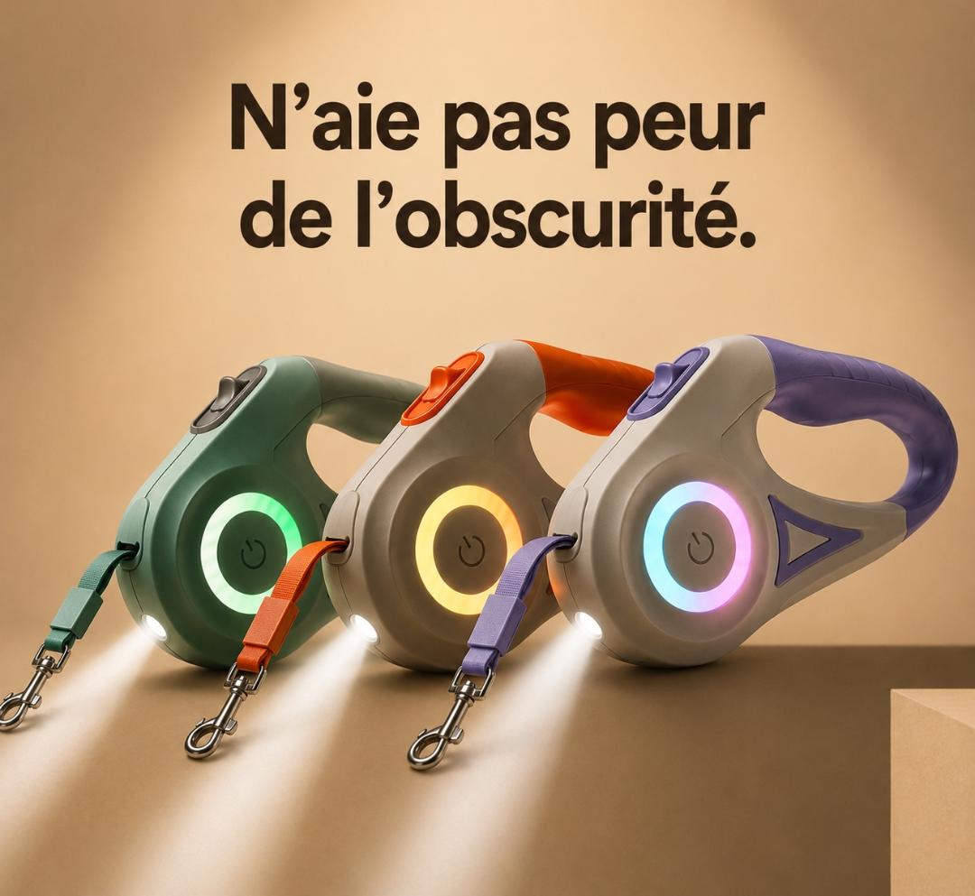 Laisse LED Rétractable