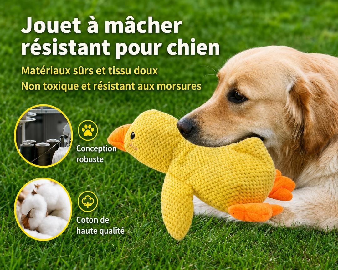 Jouet Canard Couinant en Peluche pour Chien