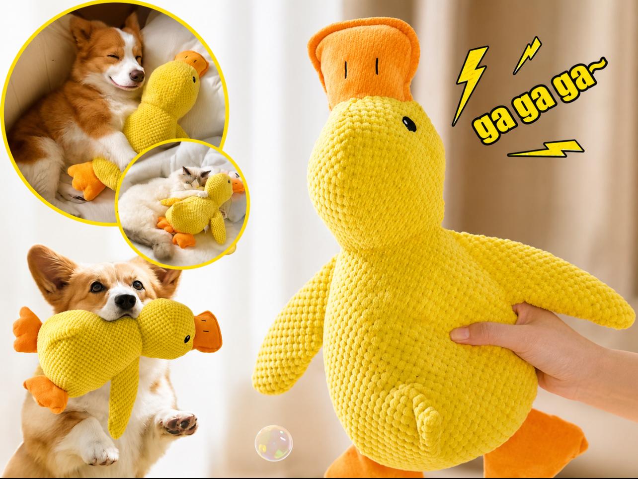 Jouet Canard Couinant en Peluche pour Chien