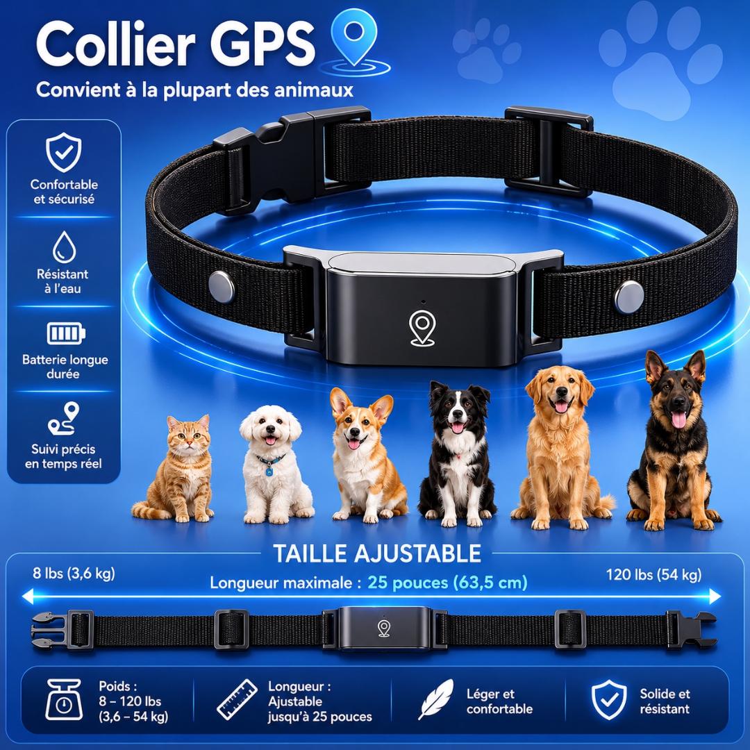 Collier GPS 4G pour Chien et Chat | Traceur Temps Réel | Waterproof IP67