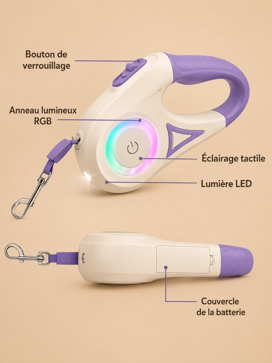 Laisse LED Rétractable