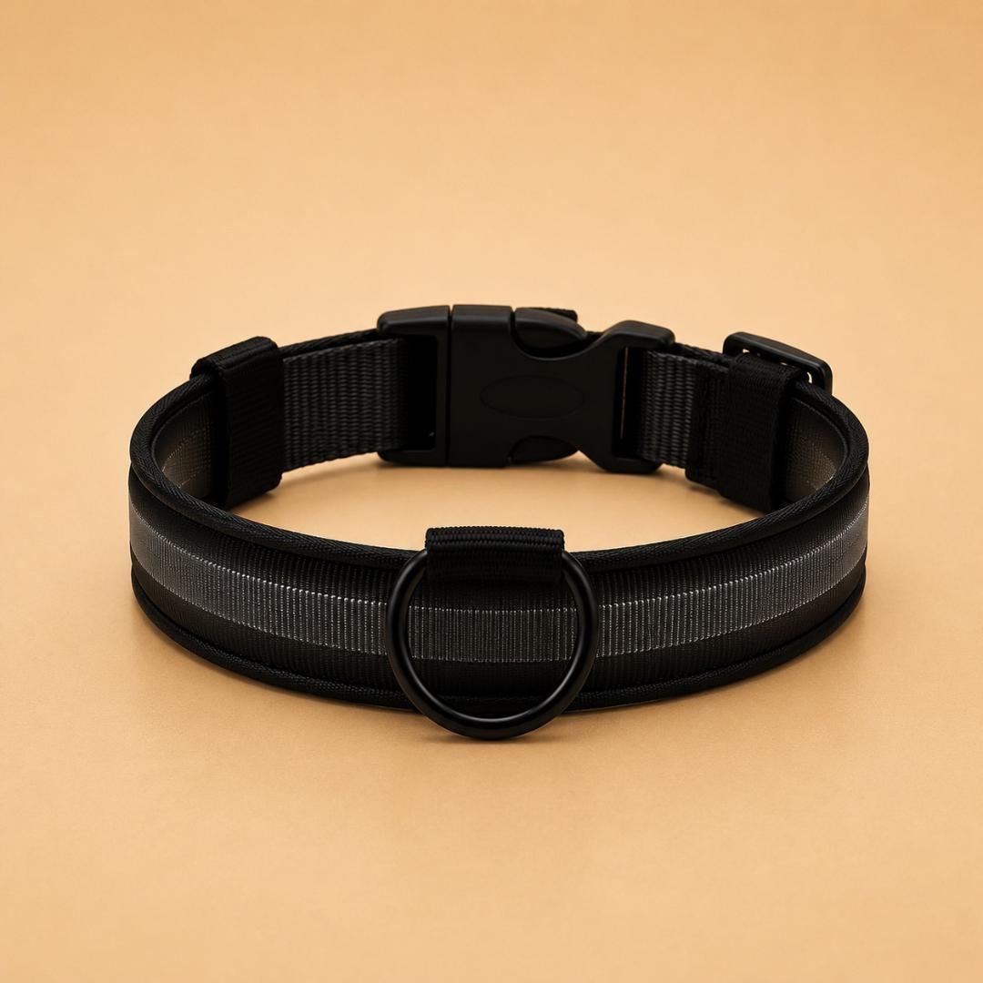 Collier LED Réfléchissant pour Chien — Sécurité Nocturne*