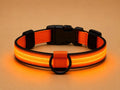 Collier LED Réfléchissant pour Chien — Sécurité Nocturne*