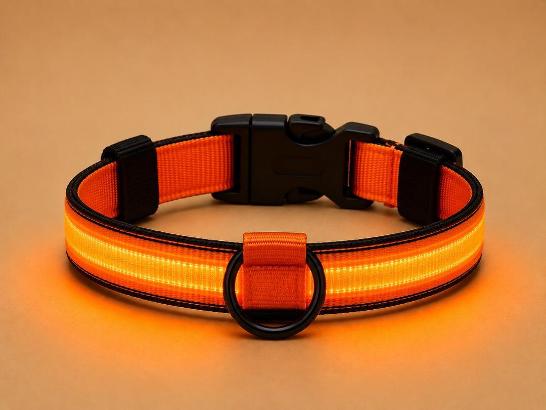 Collier LED Réfléchissant pour Chien — Sécurité Nocturne*