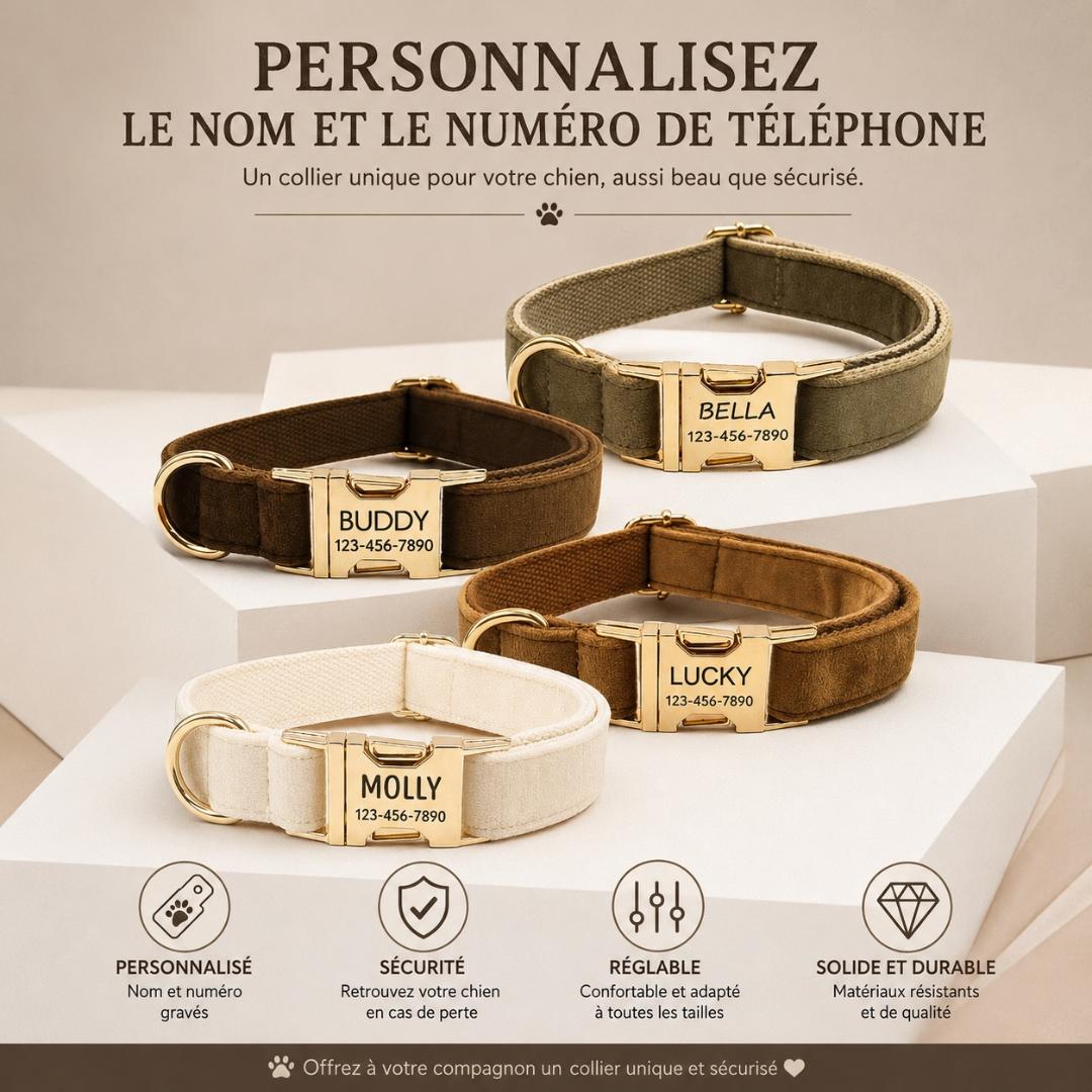 Collier personnalisable pour chien – Fermeture rapide | Toutes saisons