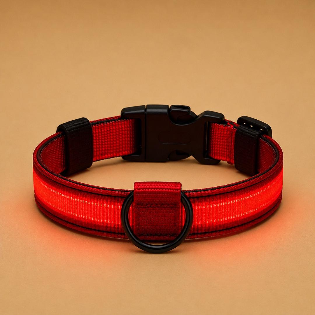 Collier LED Réfléchissant pour Chien — Sécurité Nocturne*
