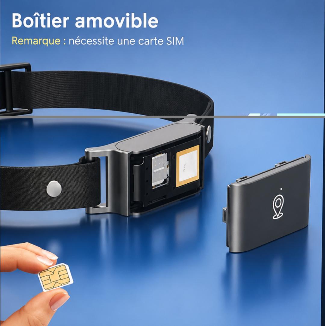 Collier GPS 4G pour Chien et Chat | Traceur Temps Réel | Waterproof IP67