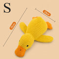 Jouet Canard Couinant en Peluche pour Chien