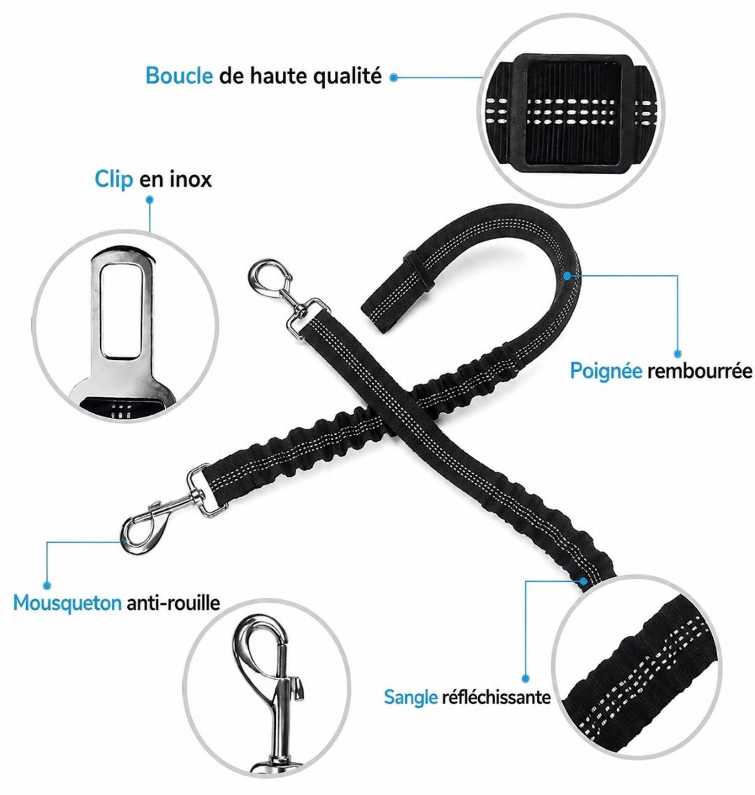Ceinture de sécurité réglable et résistante  pour chien