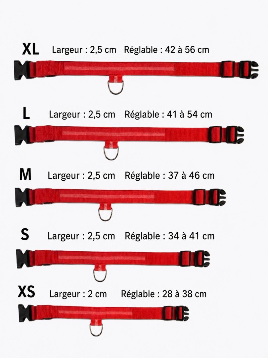 Collier LED Réfléchissant pour Chien — Sécurité Nocturne*