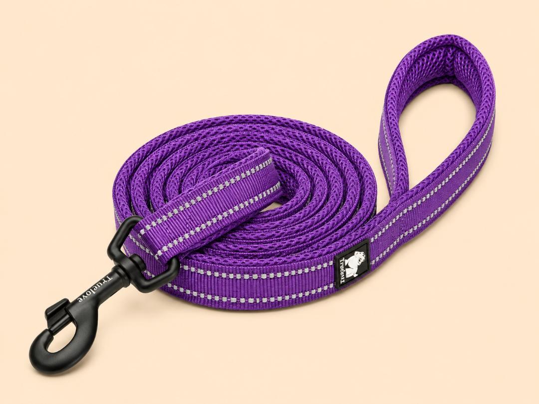 Laisse Réfléchissante Renforcée pour chien