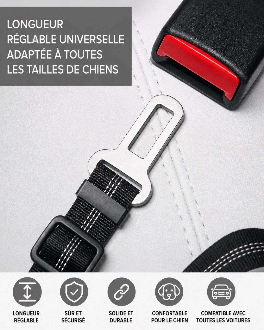 Ceinture de sécurité réglable et résistante  pour chien